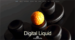 Desktop Screenshot of digitalliquid.com